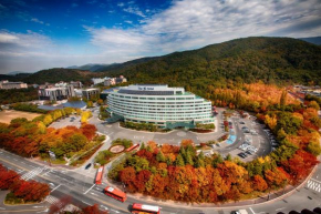 Гостиница The K Hotel Gyeongju  Кёнджу